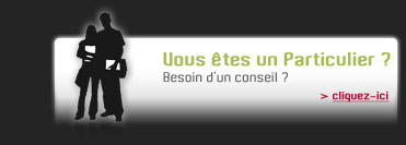 Vous eetes un Particulier ?
